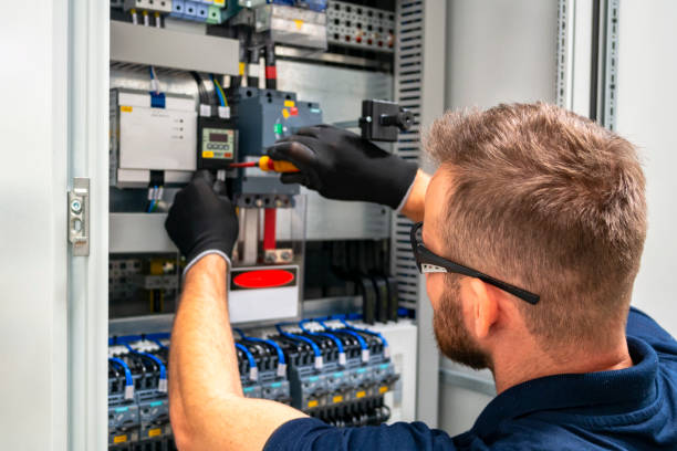 Best Electric Panel Repair  in Rock Falls, IL